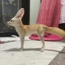 uwu