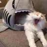 OUHMAHGAWD