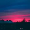 synzu