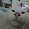 Astro