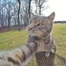 TeeLow