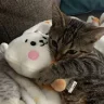 neploo