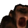 knuffelbeertjes