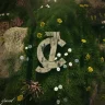 cjwxxd