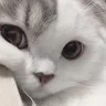 99999u
