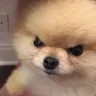 Emyuei