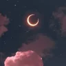 d0llar