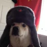 martinbruh123
