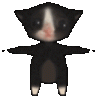 Aco