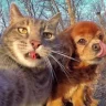 sup
