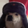 Foob