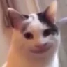 YFriqu