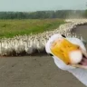 slarcx