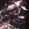 RSQDZN