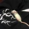 cryzera