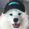 Optinq