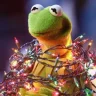 FeStIvE