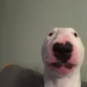 Chickfilla