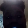 Fetus