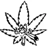 MrFatDoinks