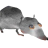 Arg3n