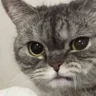 AimlessUwU