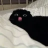 KOBYAS123