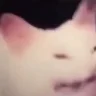 soaringtuna