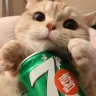 winteruwu
