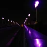 z0pEx