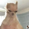 Kasper2k