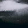 blackeyee