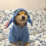 lilrefund