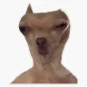 mmstadd2