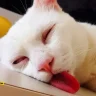 F3nn