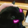 evwee