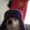 Koko37yt