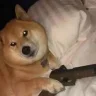 Sneixzzz