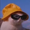 crxd