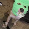yhgdmgsngn