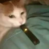 RTXXD