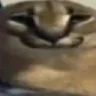 Mvk0001