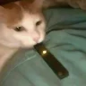 Techno