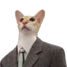 AceSpadesCheats