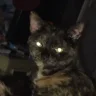 Snizu666