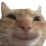 WebKitto