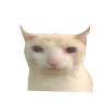 Vanilla