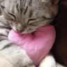 luckyboy