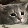 some0ne