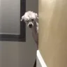 Deffoq